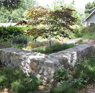 Cottage Garden
